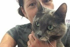 Alerte Disparition Chat Femelle , 6 ans Frémécourt France