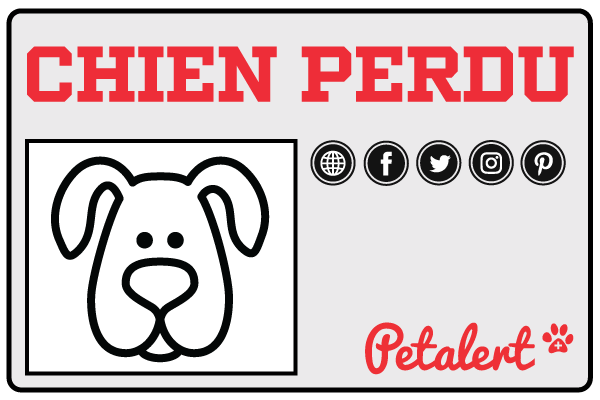 PetAlert Spread Your Dog Review